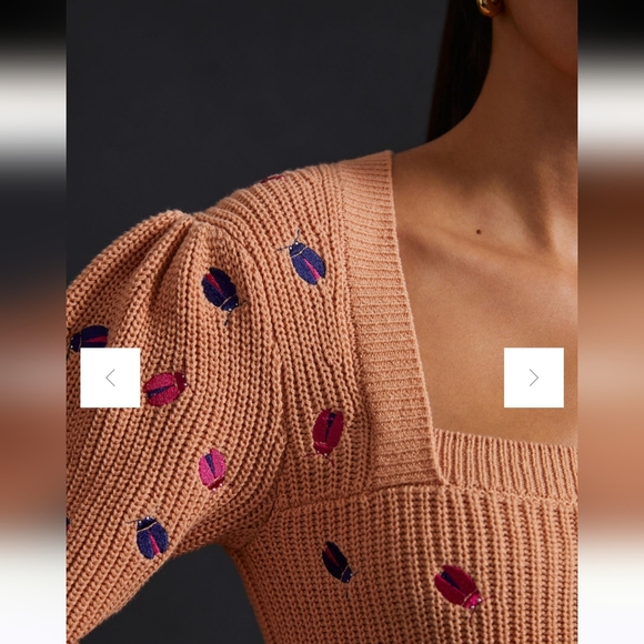 Maeve Elliana Embroidered Mutton Sleeve Sweater Sand Large Ladybug Knit Fall - Picture 4 of 12